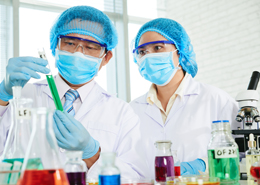 Doctoral Studies & Research